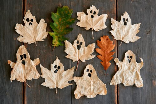 13 Beautiful DIY Leaf Projects to Decorate Your Home