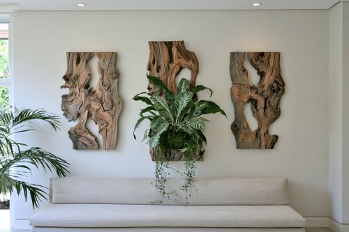 16 Ways to Mount a Large Staghorn Fern Beautifully