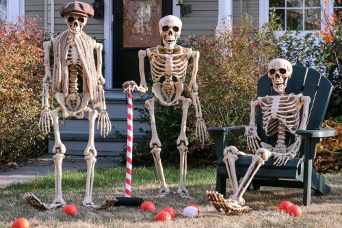 16 Skeleton Decor Concepts With a Creative Halloween Twist