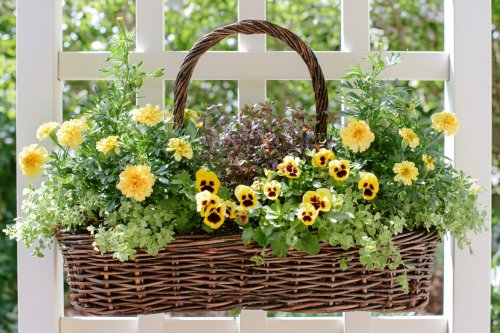 19 Unusual Hanging Basket Designs Made From Unexpected Materials