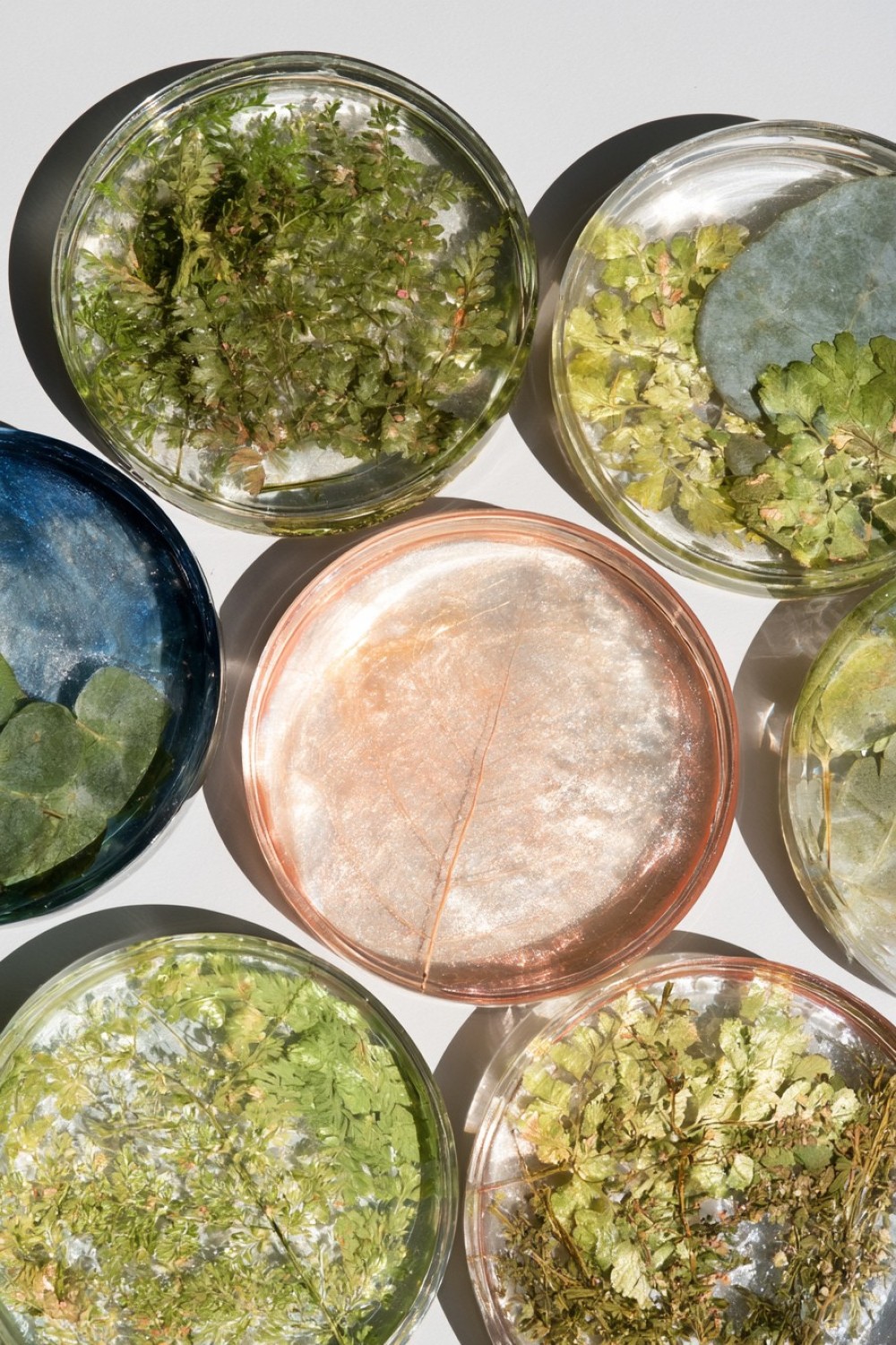 7. Botanical Leaf Resin Coasters