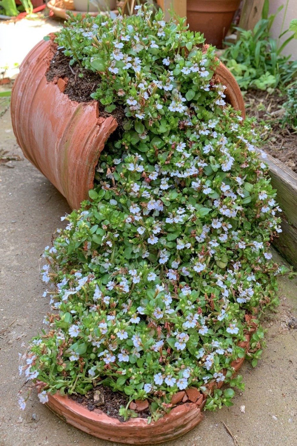 7. Create A Cascading Flower Display