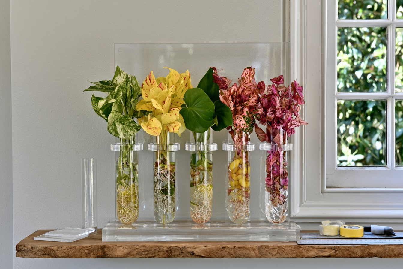 5. Acrylic Plant Propagation Station