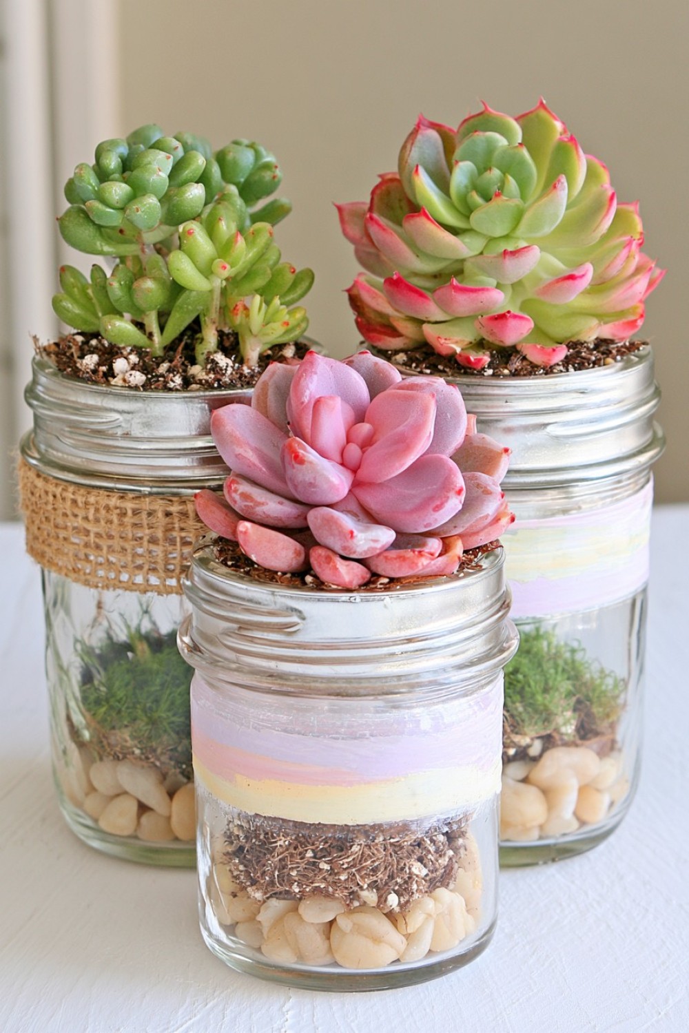 2. Mini Jar Succulent Planters