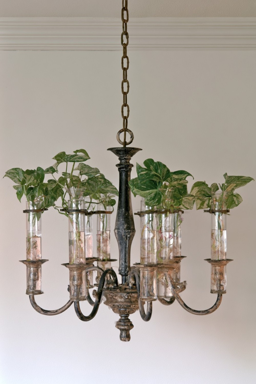 7. Build A Chandelier Inspired Plant Propagation Station