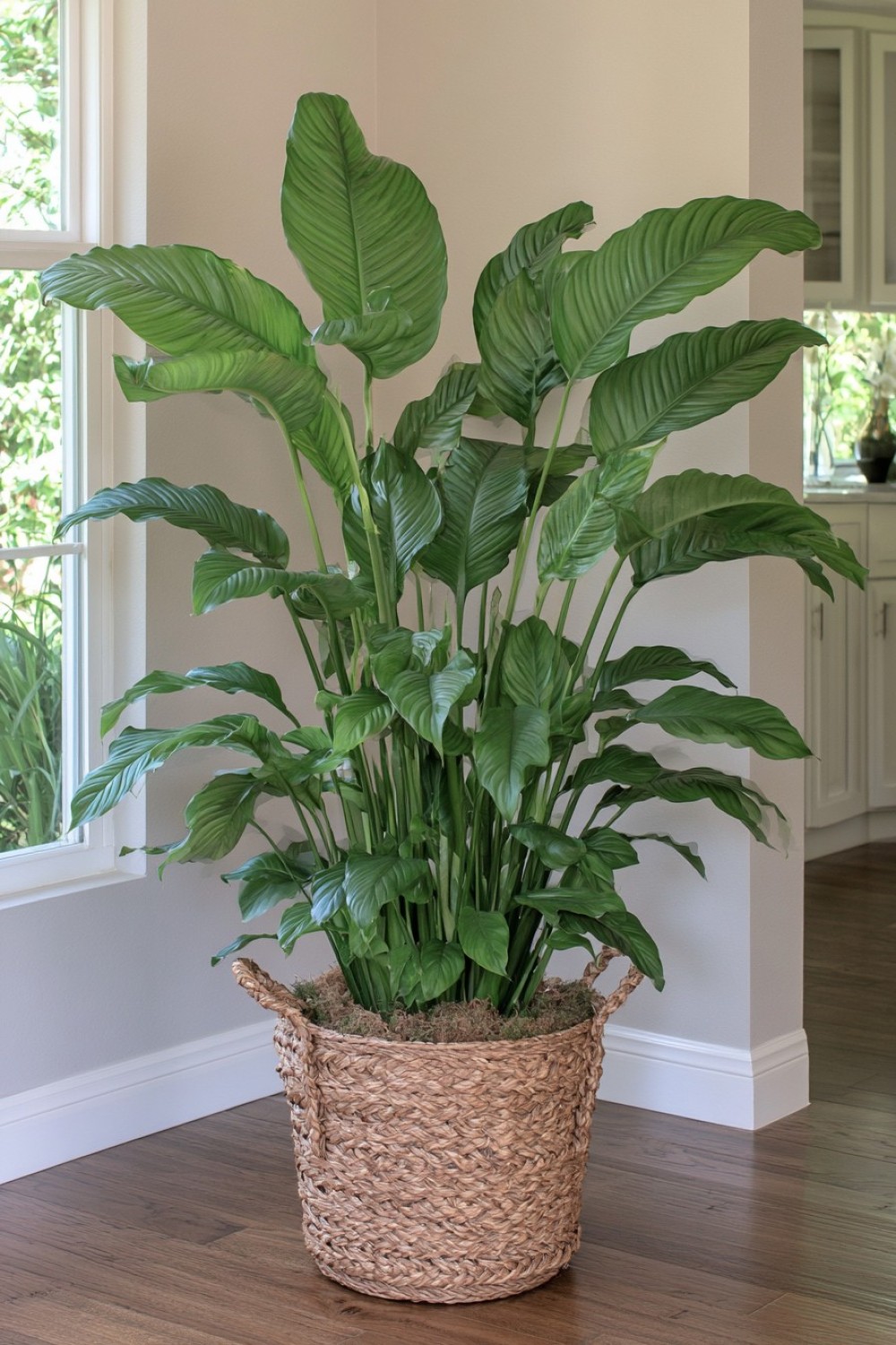 2. Turn A Woven Basket Into A Decorative Planter
