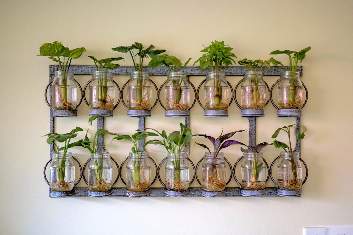14. Create A Plant Propagation Laboratory
