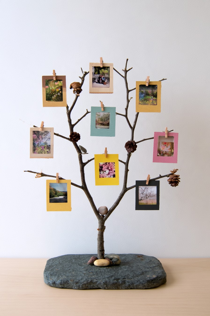 Forked branch photo display mounted on a stone base with small wooden clips