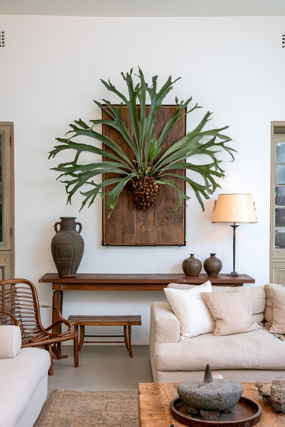 16. Large Staghorn Fern As The Living Room Focal Point