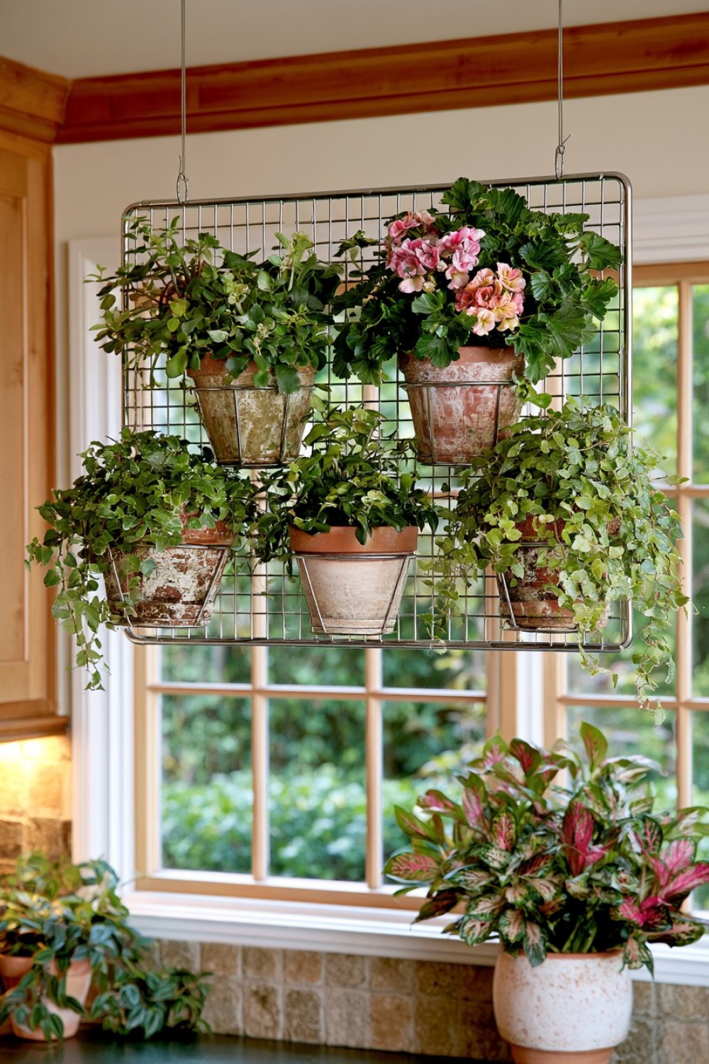 5. Floating Cooling Rack Plant Grid