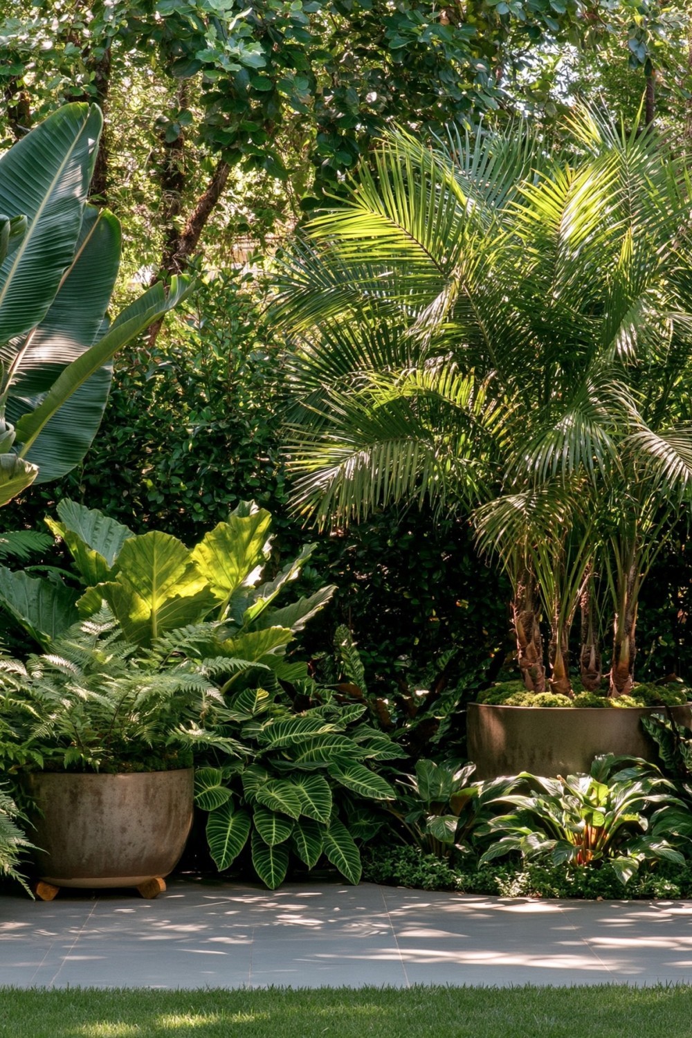 Tropical patio plants grouped according to compatible watering needs