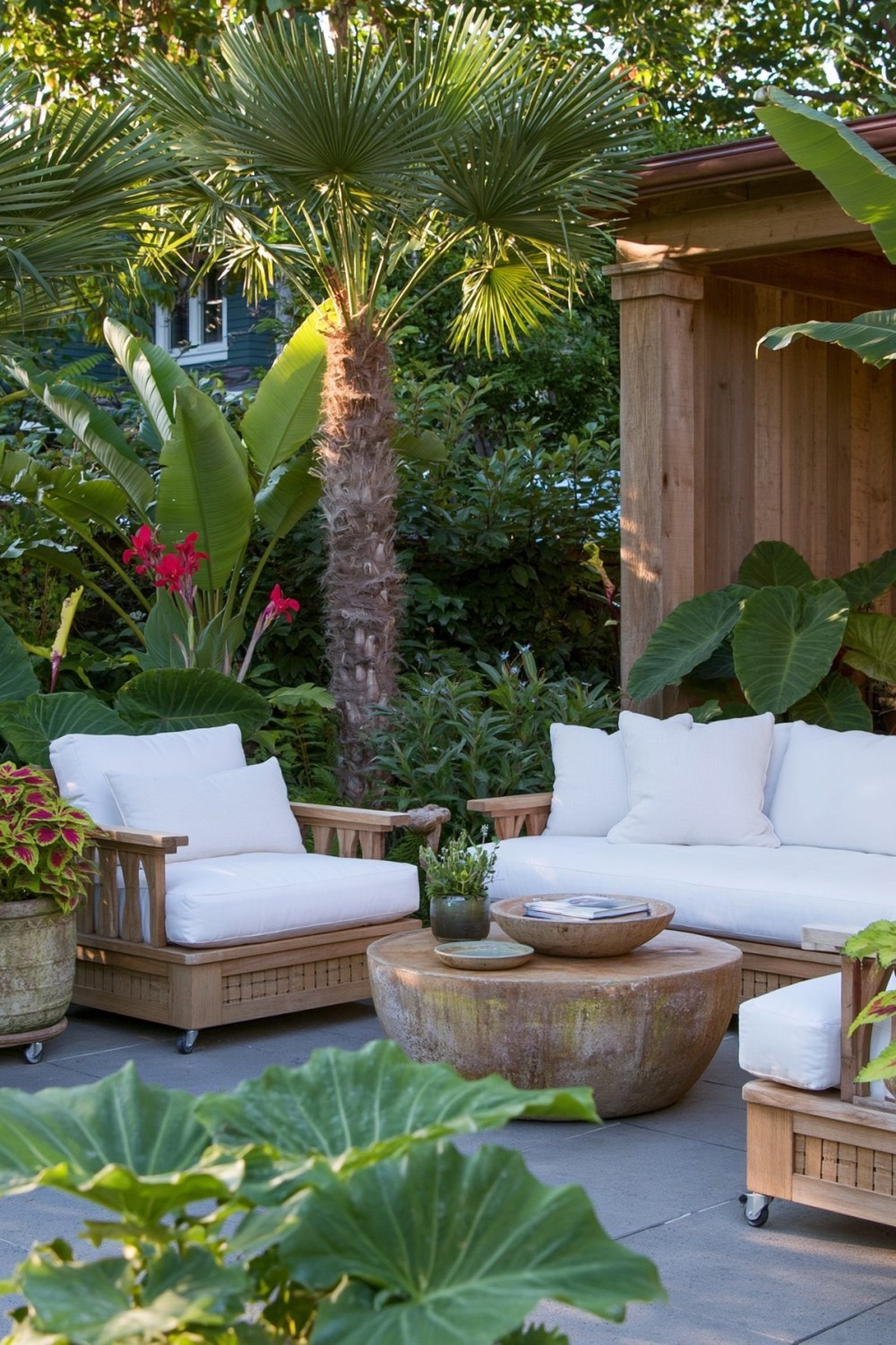 Climate-suitable tropical plants growing on a sheltered patio