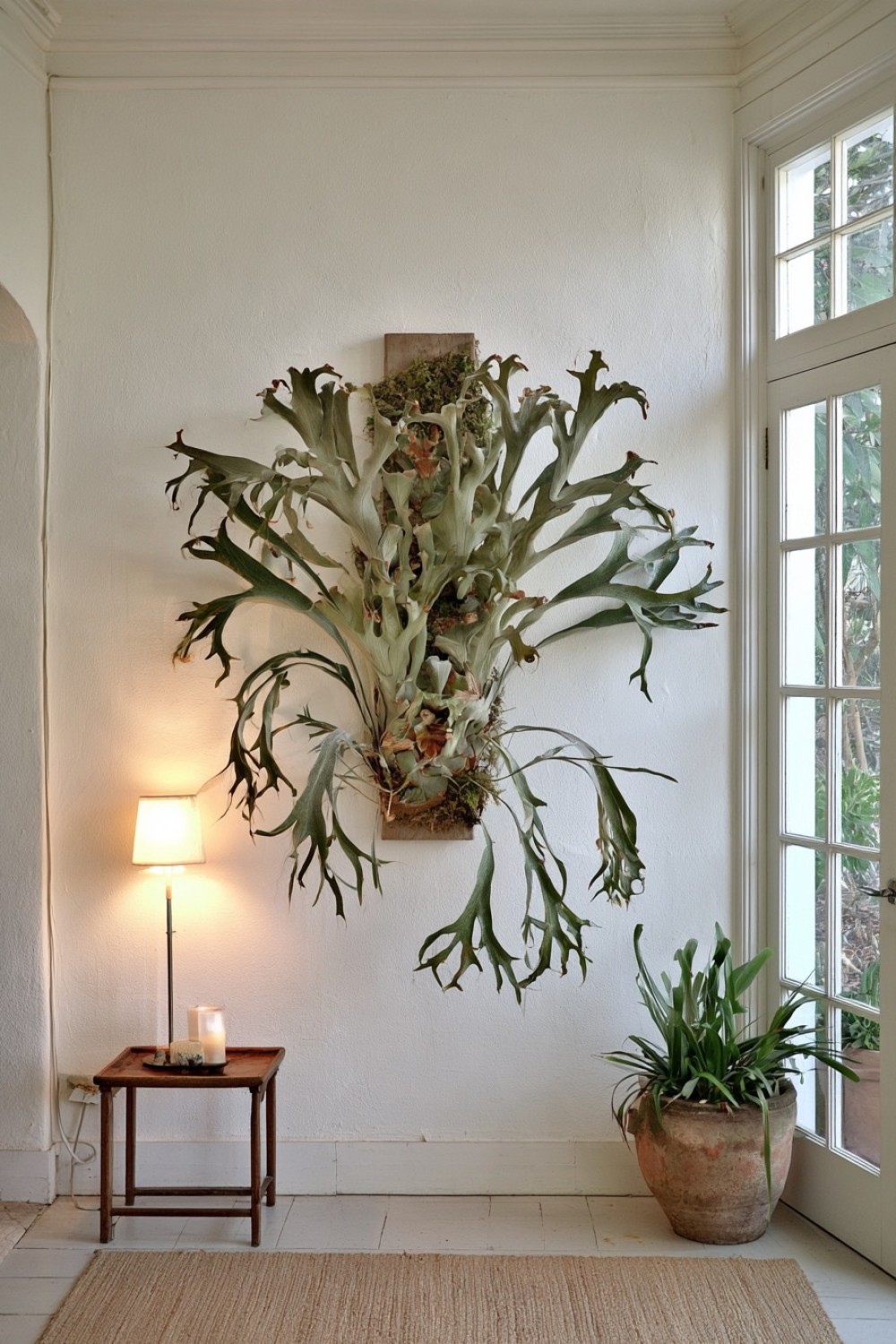 5. Corner Mount With Fronds Wrapping The Architecture