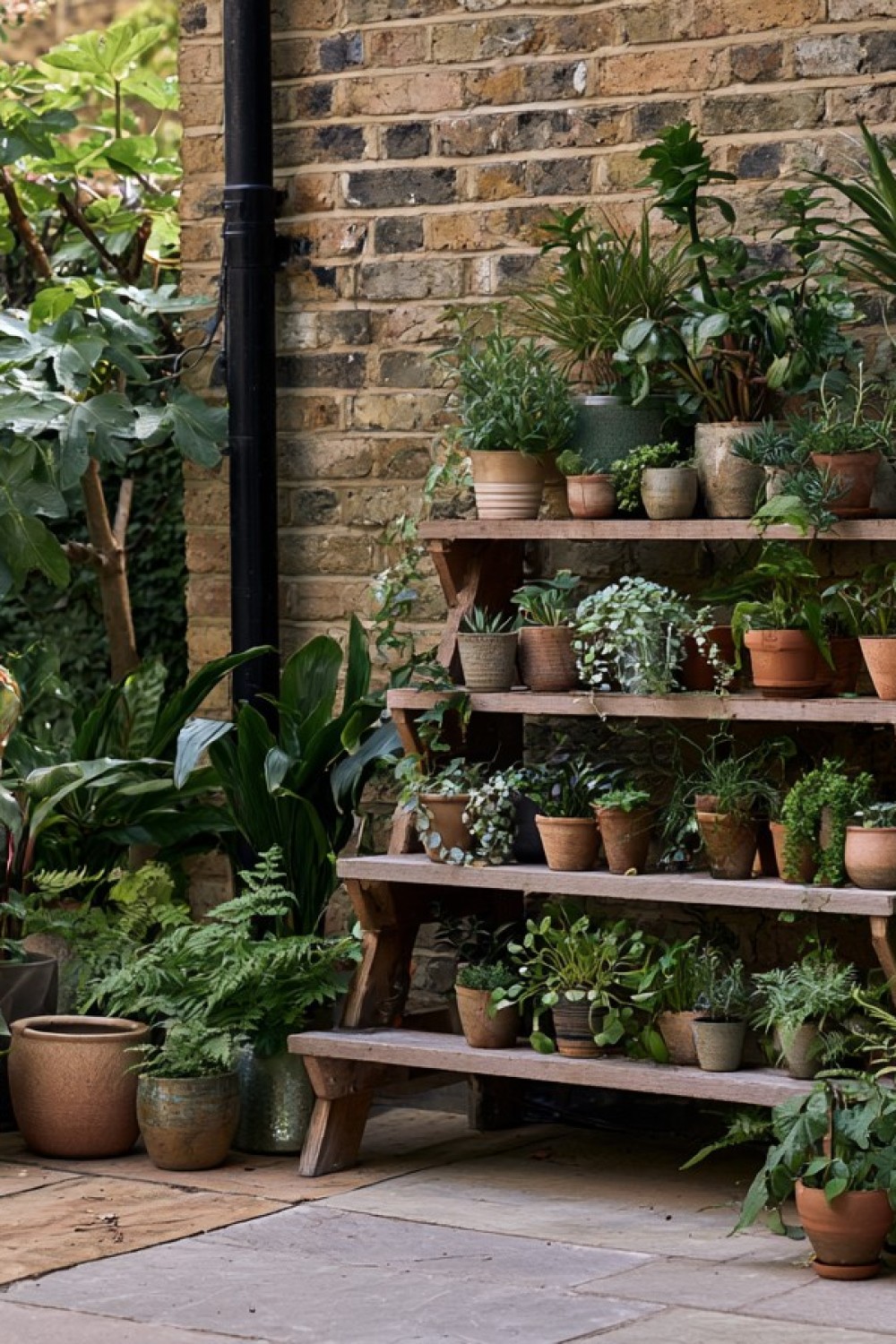 Narrow outdoor shelf displaying plants on a compact patio