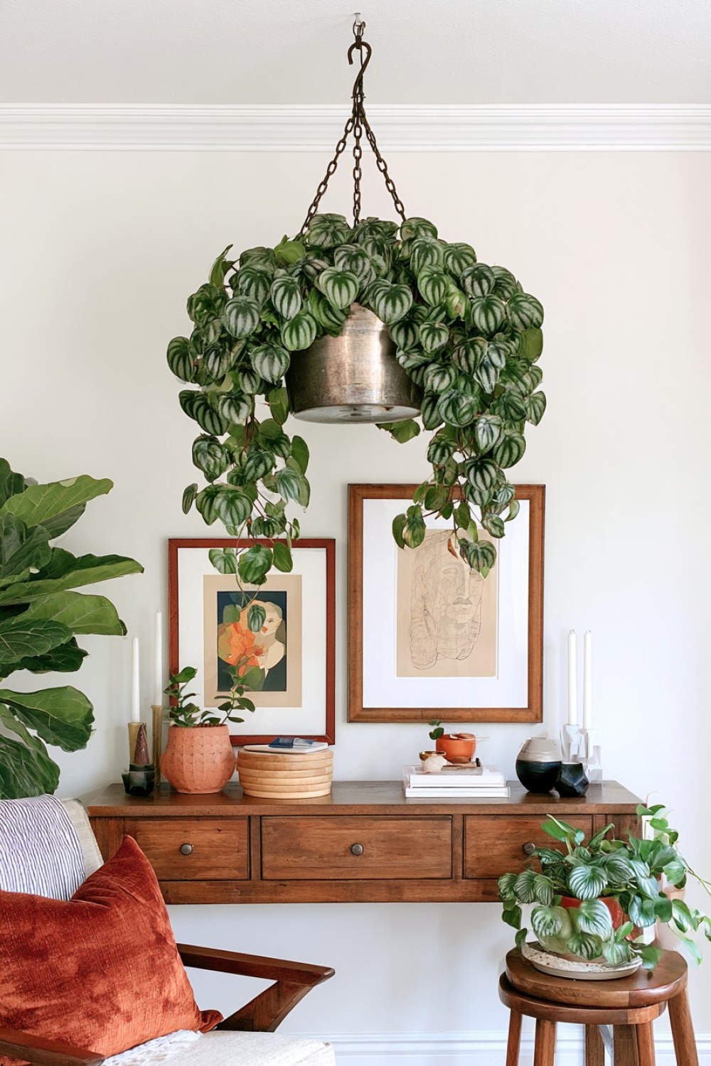 17. One Oversized Hanging Plant As A Living Ceiling Feature