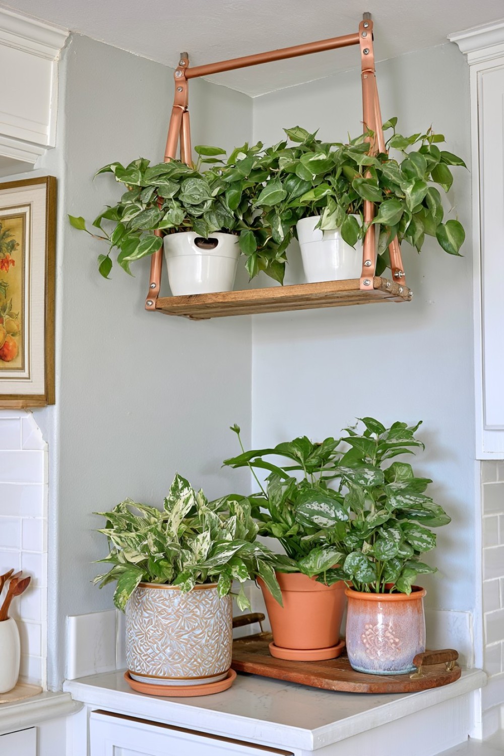 16. Removable Hanging Planter Cassette