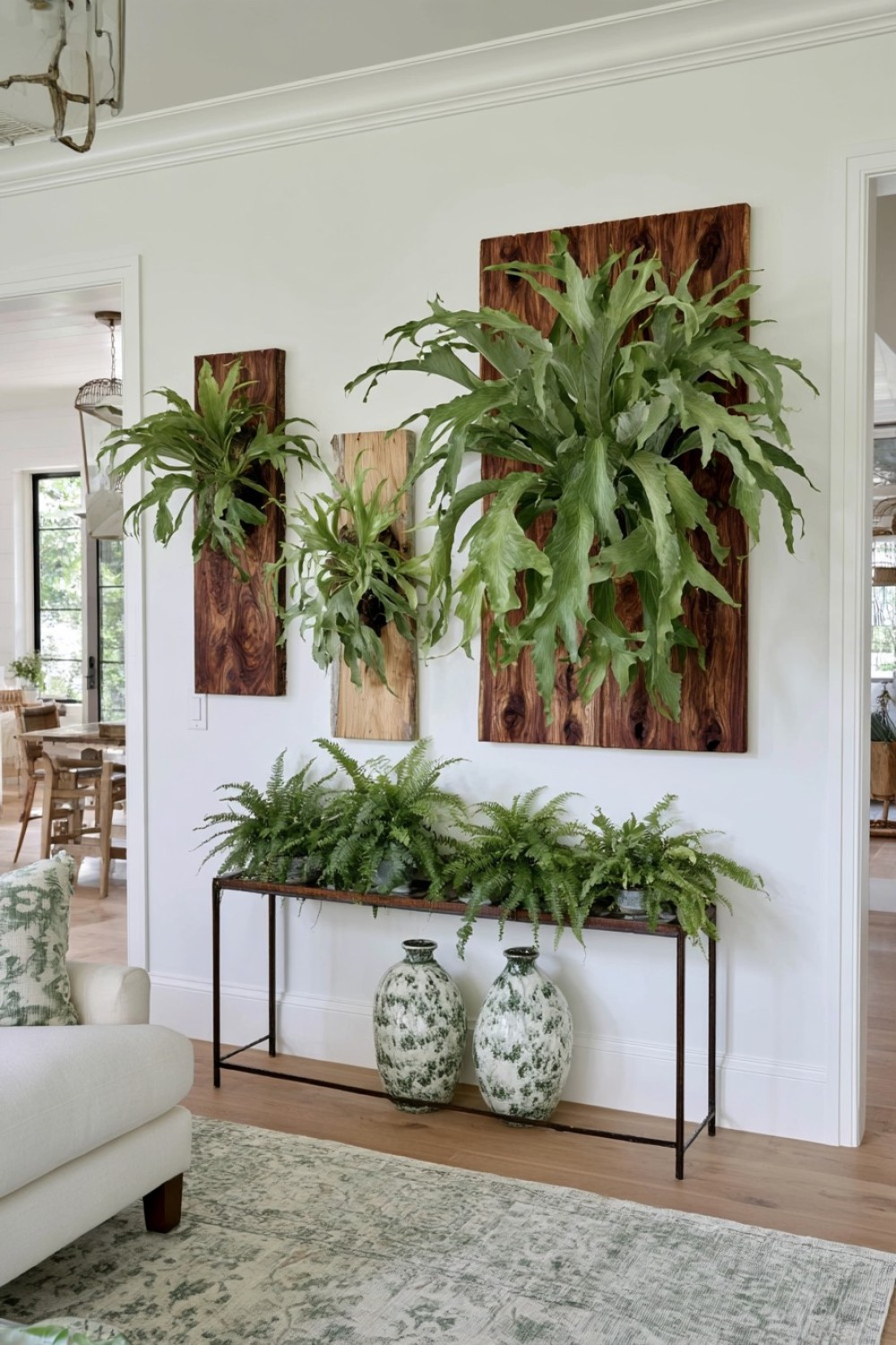 11. Multi Level Staghorn Fern Composition