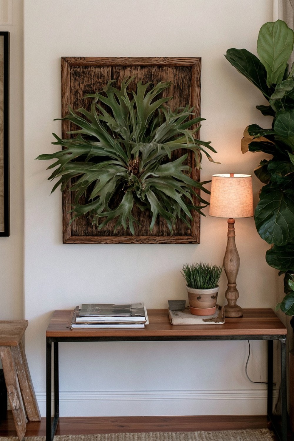 10. Dark Wall For Strong Frond Contrast