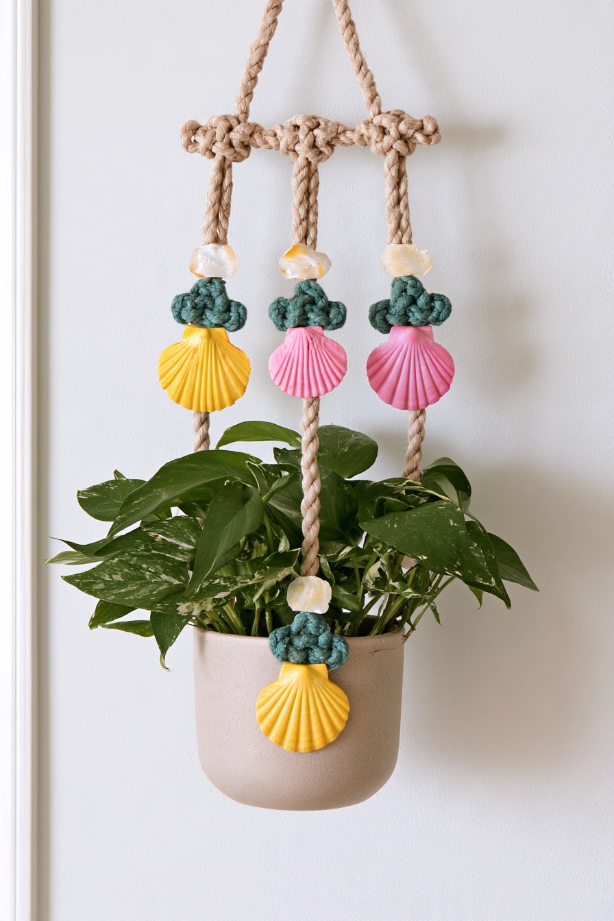 Macrame hanging planter decorated with colorful scallop seashells