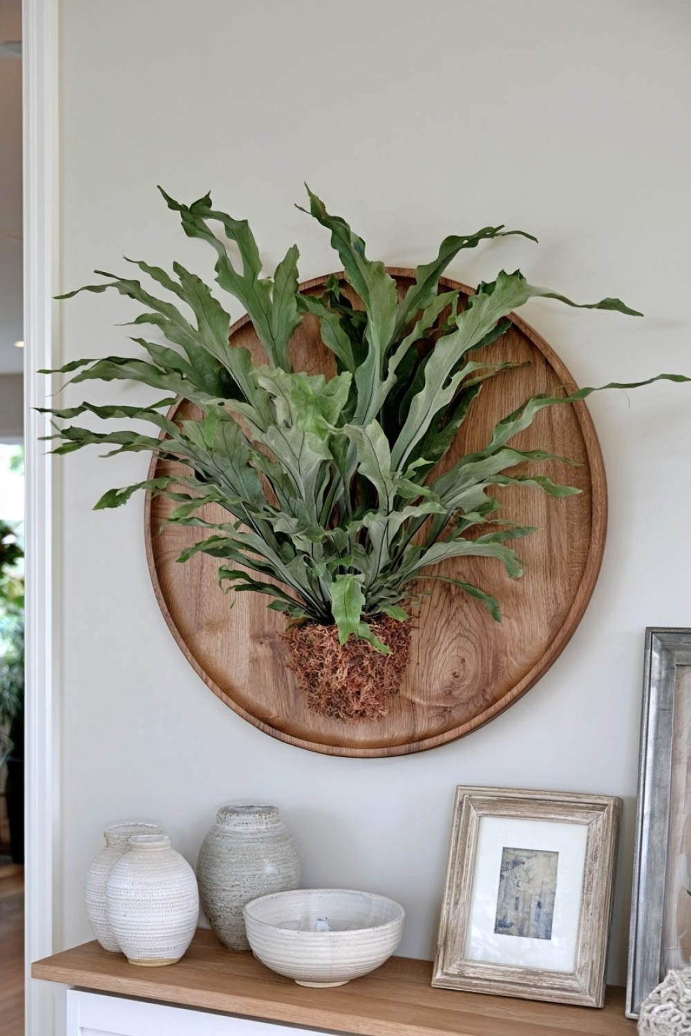 3. Rounded Mount Echoing The Fern Shape