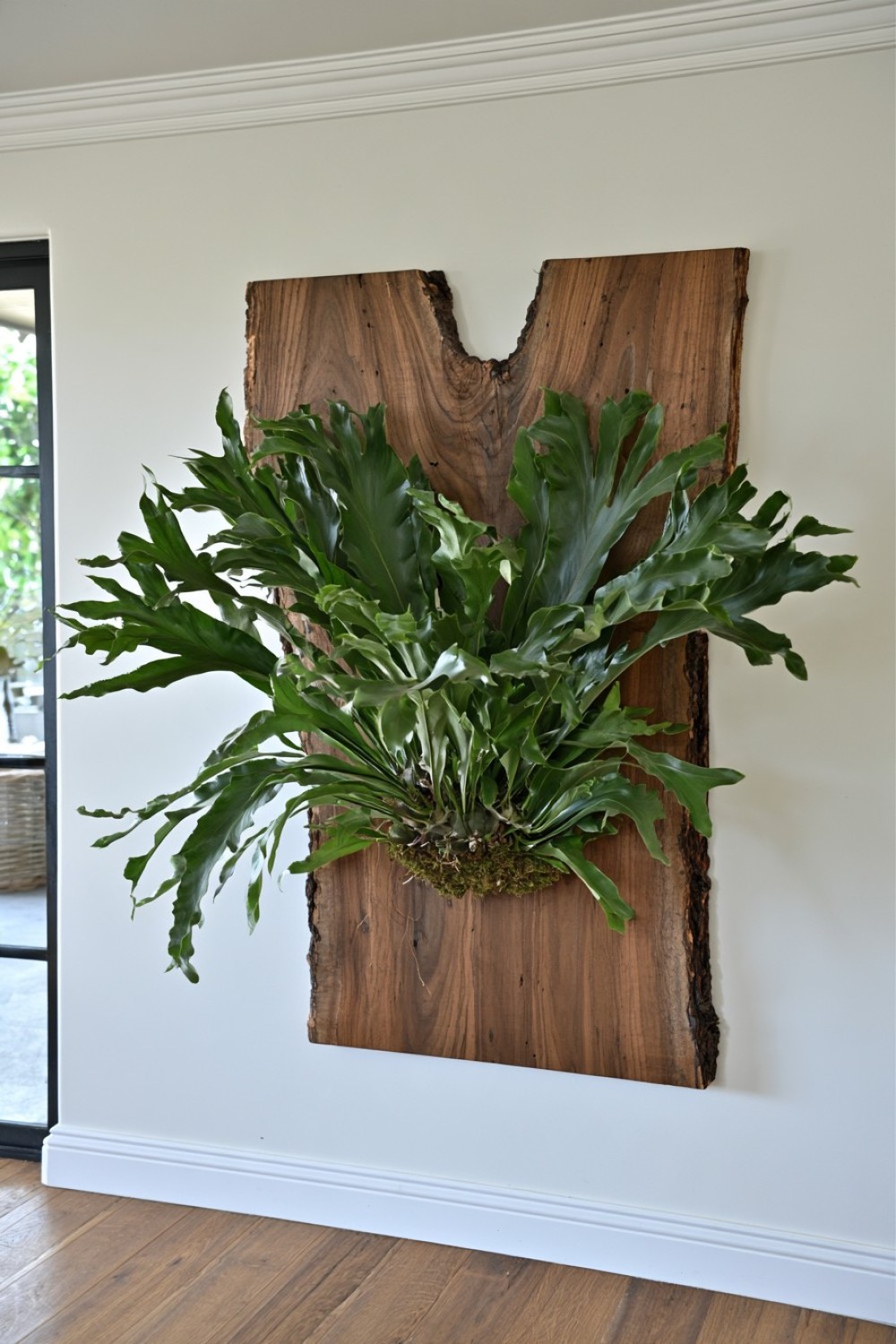 1. Oversized Live Edge Timber Mount