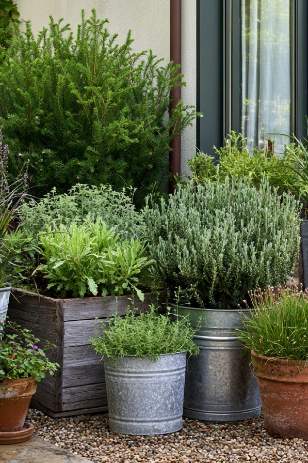 Repurposed containers used as movable patio planters