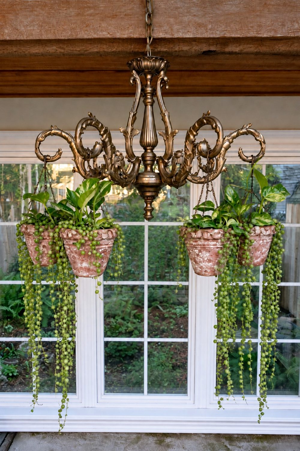 Bronze chandelier with chain suspended aged clay pots and trailing green foliage