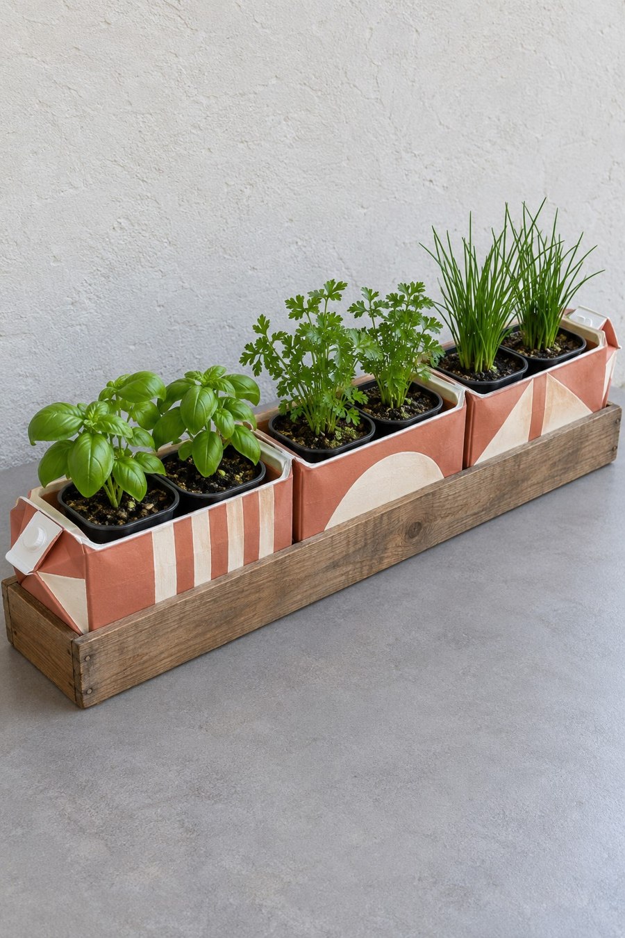 Four low geometric painted carton sleeves holding small herb pots in a wood tray