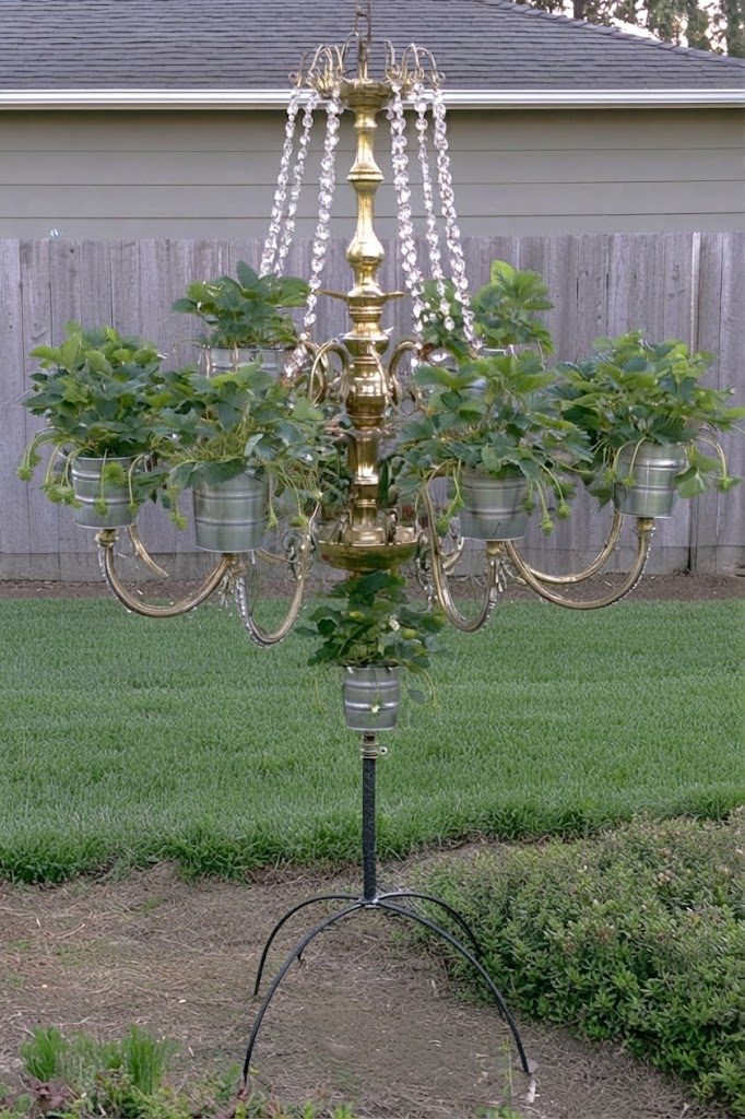 Brass chandelier on a metal stand with galvanized buckets of strawberry plants and crystal strands