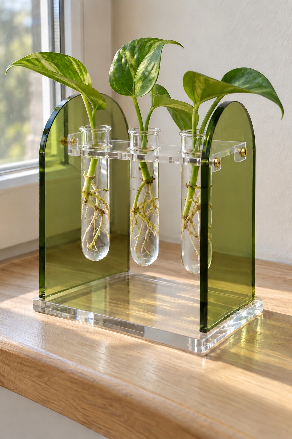 Olive green acrylic propagation stand supporting three glass tubes with plant cuttings